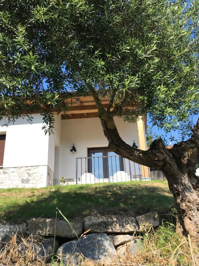 La Casina Del Olivo Villa Ribadesella Ngoại thất bức ảnh