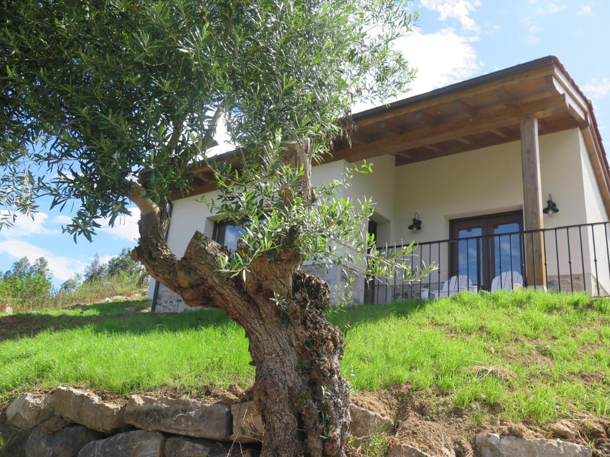 La Casina Del Olivo Villa Ribadesella Ngoại thất bức ảnh