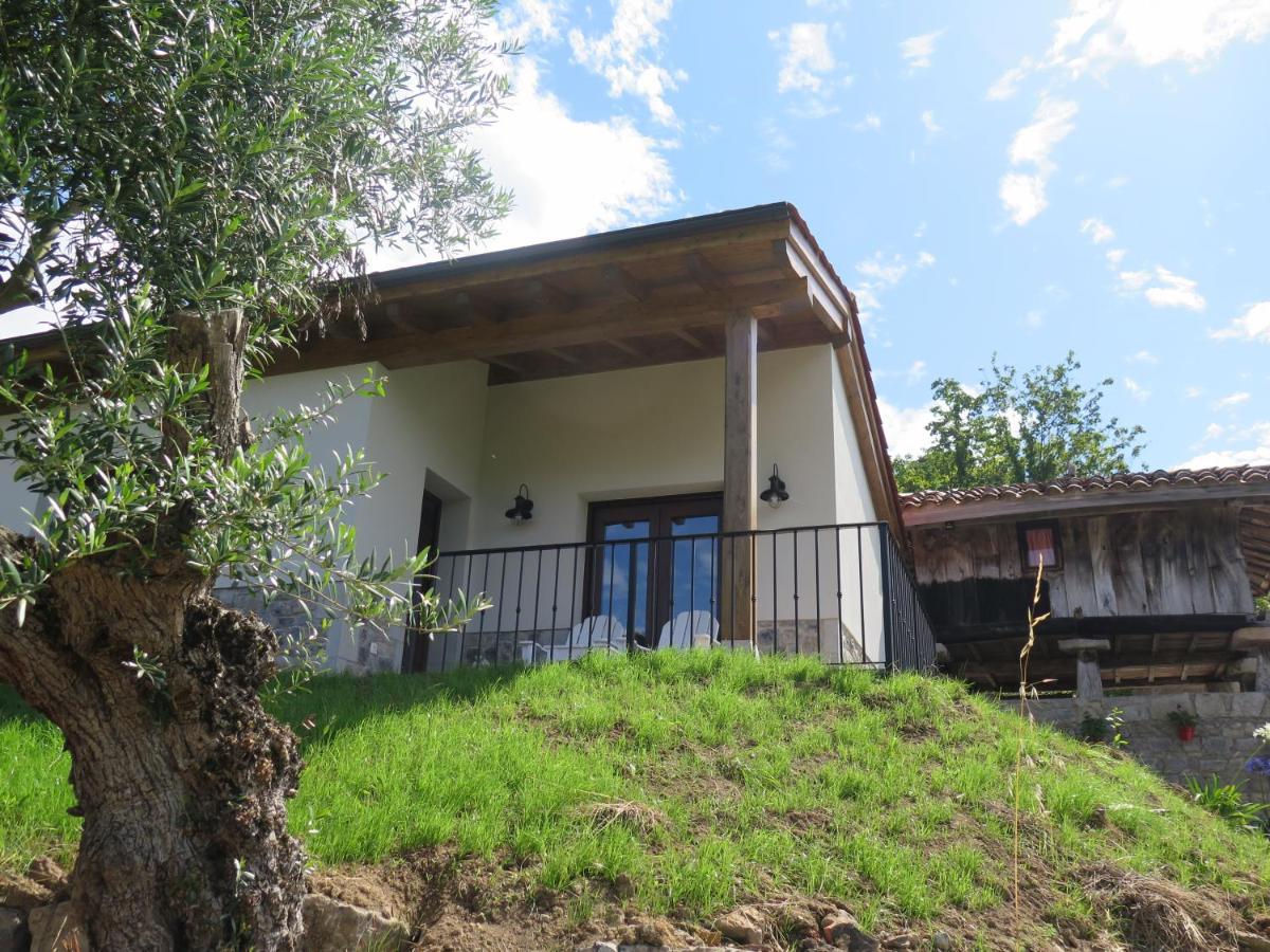 La Casina Del Olivo Villa Ribadesella Ngoại thất bức ảnh