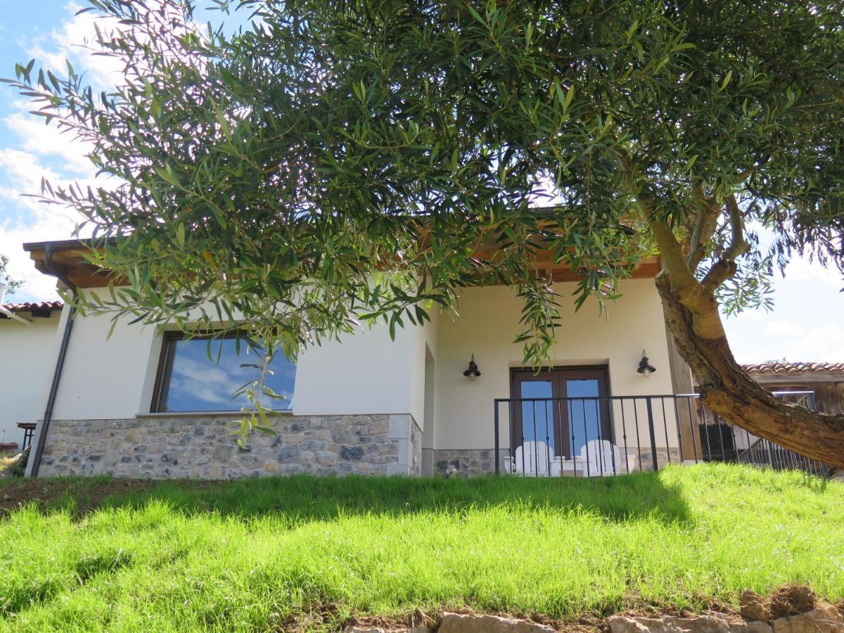 La Casina Del Olivo Villa Ribadesella Ngoại thất bức ảnh